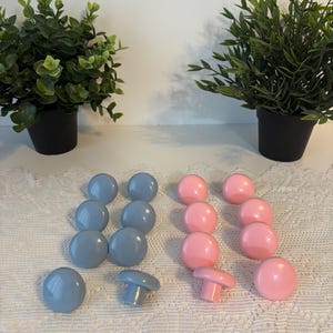 Peut inclure: Une collection de boutons de placard bleus et roses. Les boutons bleus sont disposés en groupe de huit, tandis que les boutons roses sont en groupe de six. Deux boutons sont présentés avec leurs tiges. Les boutons sont sur une surface blanche.