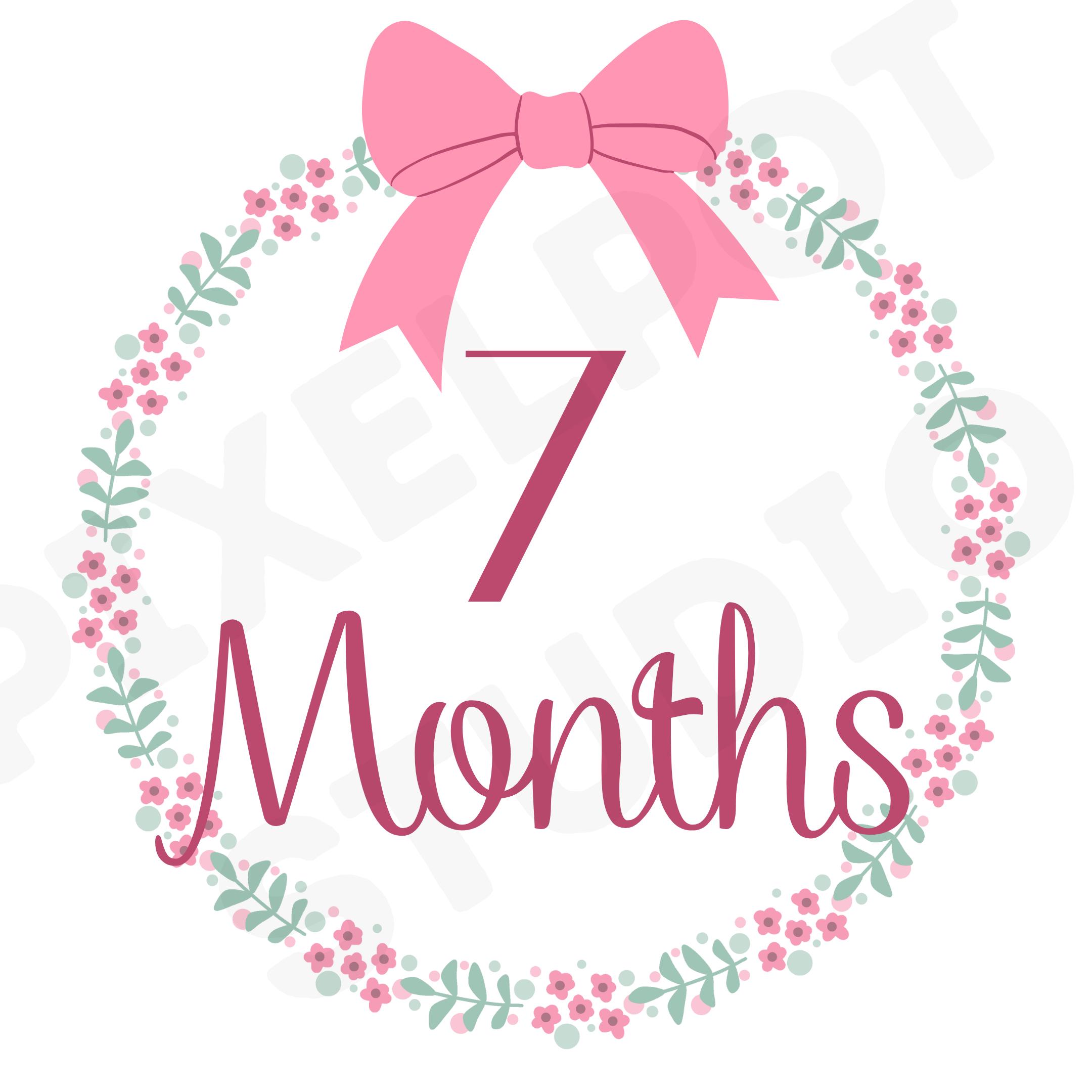 Baby Girl Soft Floral Monthly Milestone SVG PNG Bundle Digital Download ...