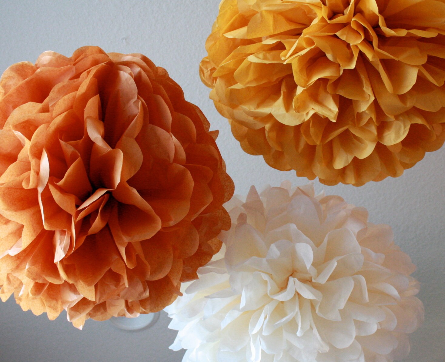 Tissue Paper Pom Poms 12 Poms Your color choice Etsy