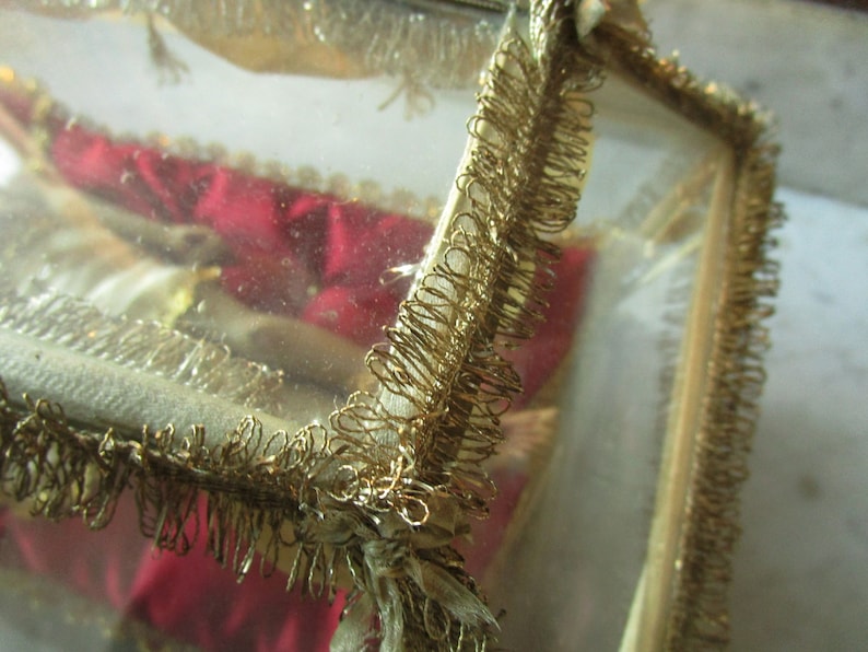 May include: A clear, rectangular glass box with gold trim and a gold fringe. The interior features red and white fabric. The box is likely for displaying or storing small items.