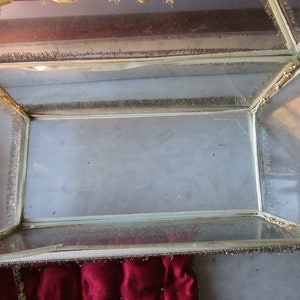 May include: A rectangular glass display case with a gold-coloured metal frame and trim. The case has a hinged top and is lined with a red, tufted fabric. The edges are trimmed with a gold-coloured fringe.