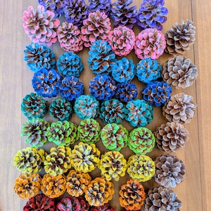 Bulk Pine Cones – Natural or Hand-Painted | 15+ Per Box