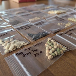 May include: A collection of small, clear plastic bags filled with various seeds, arranged on a wooden surface. Each bag is labeled with handwritten text indicating the type of seed and quantity, such as "Sunflower 100+" and "Org. Sugar Daddy Snap Pea 25+".