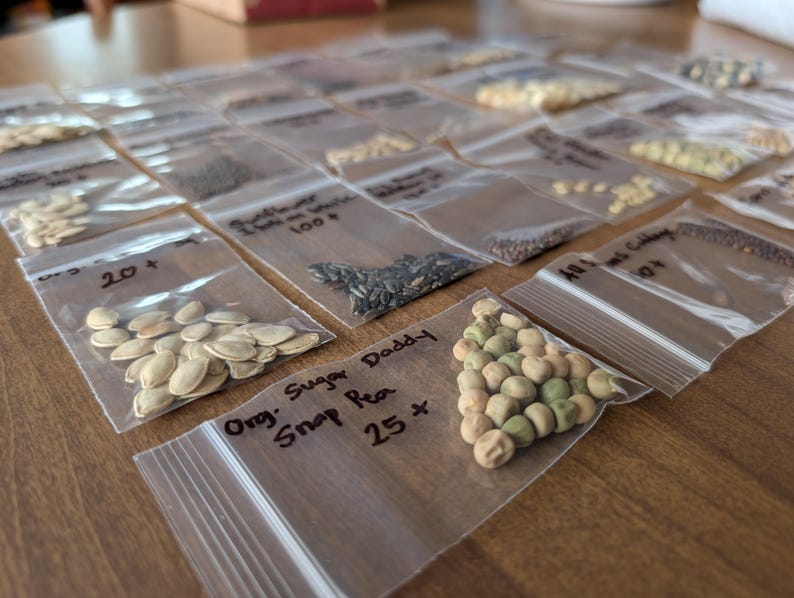 May include: A collection of small, clear plastic bags filled with various seeds, arranged on a wooden surface. Each bag is labeled with handwritten text indicating the type of seed and quantity, such as "Sunflower 100+" and "Org. Sugar Daddy Snap Pea 25+".
