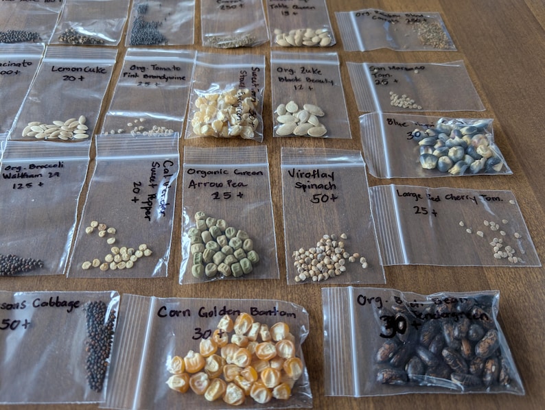 May include: A collection of small, clear plastic bags filled with various seeds, including corn, tomatoes, and spinach. Each bag is labeled with the seed type and a number, likely indicating the quantity. The seeds are displayed on a wooden surface.