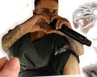 Pegatina de Bieberchella Coachella / Fan art de Justin con ambiente festivalero / Bonita pegatina impermeable