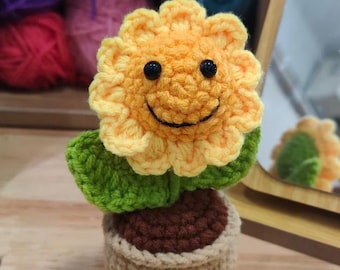 Cute Crochet Plant Decor, Personalized Crochet Flowers in Pot