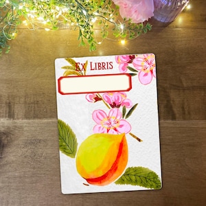May include: A rectangular Ex Libris bookplate with a watercolour design. The design features a peach, pink blossoms, and green leaves. The text "EX LIBRIS" is at the top in red, with a blank space for a name.
