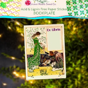 May include: A decorative bookplate sticker with the text "Ex Libris." The image shows a woman in a green dress and a kneeling figure with wings. The words "Acid & Lignin Free Paper Sticker BOOKPLATE" are at the top. The design has a vintage aesthetic.