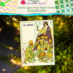 May include: A vintage bookplate with the text "Ex Libris" and the words "Acid & Lignin Free Paper Sticker BOOKPLATE". The illustration shows a queen in a yellow dress and black cape, with three figures kneeling before her, offering golden crowns.