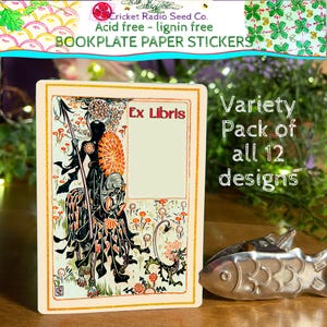 Variety Pack Floral Fantasy Ex Libris Bookplate Acid Free Sticker Set Personalize Castlecore Romantasy BookTok Book Club Teacher Gift