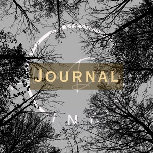 May include: A journal with a nature-themed cover. The design features a grayscale image of tree branches against a light gray sky. The word "JOURNAL" is printed in gold letters across the center of the cover.