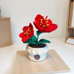 May include: A handmade crochet flower arrangement with two bright red flowers, yellow details, and green leaves. The flowers are in a white and cream crochet pot with a scalloped edge. A small wooden tag is attached to the pot. The pot is filled with brown yarn.