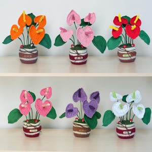 Puede incluir: Seis plantas de anturio tejidas a ganchillo en macetas pequeñas. Cada planta presenta pétalos en forma de corazón en naranja, rosa claro, rojo, rosa oscuro, morado o blanco, con un espádice central, hojas verdes y pequeños hongos rojos.