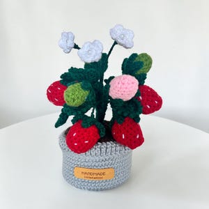 Handmade Crochet Strawberry Plant Pot: Amigurumi Desk Decor, Realistic Fruit Potted Plant