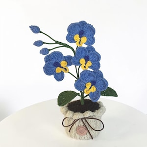 May include: A crocheted blue orchid plant with yellow and dark blue centres, green leaves, and several buds on a stem. The plant is potted in a cream-coloured crocheted pot with a brown string bow and a small circular tag with a yarn icon.