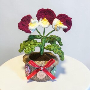 May include: A handcrafted crochet flower arrangement in a small pot. The flowers are a deep burgundy with white and yellow centres. The pot is light brown with a red ribbon and small decorative flowers. The leaves are green.