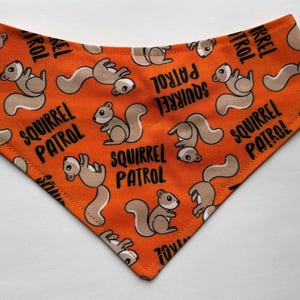 Squirrel Patrol Bandana