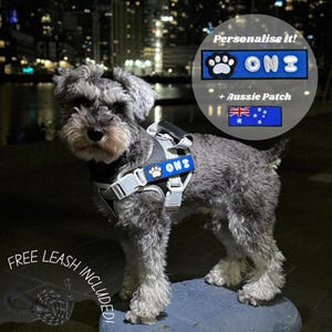 May include: A gray and black dog harness with a blue rectangular patch featuring a white paw print and the text ONI. A separate blue rectangular patch displays the Australian flag. A black leash is shown in the corner of the image.