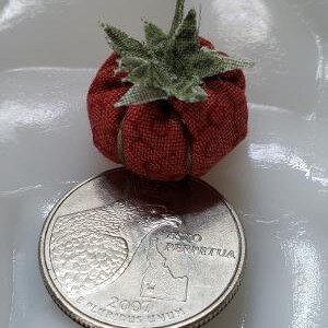 Miniature Tomato compared to an American Quarter