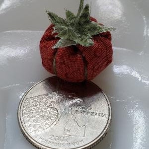 May include: A small red fabric tomato with green fabric leaves. The tomato is sitting on top of a US quarter coin with the year 2007 and the words "E Pluribus Unum" and "In God We Trust" visible.