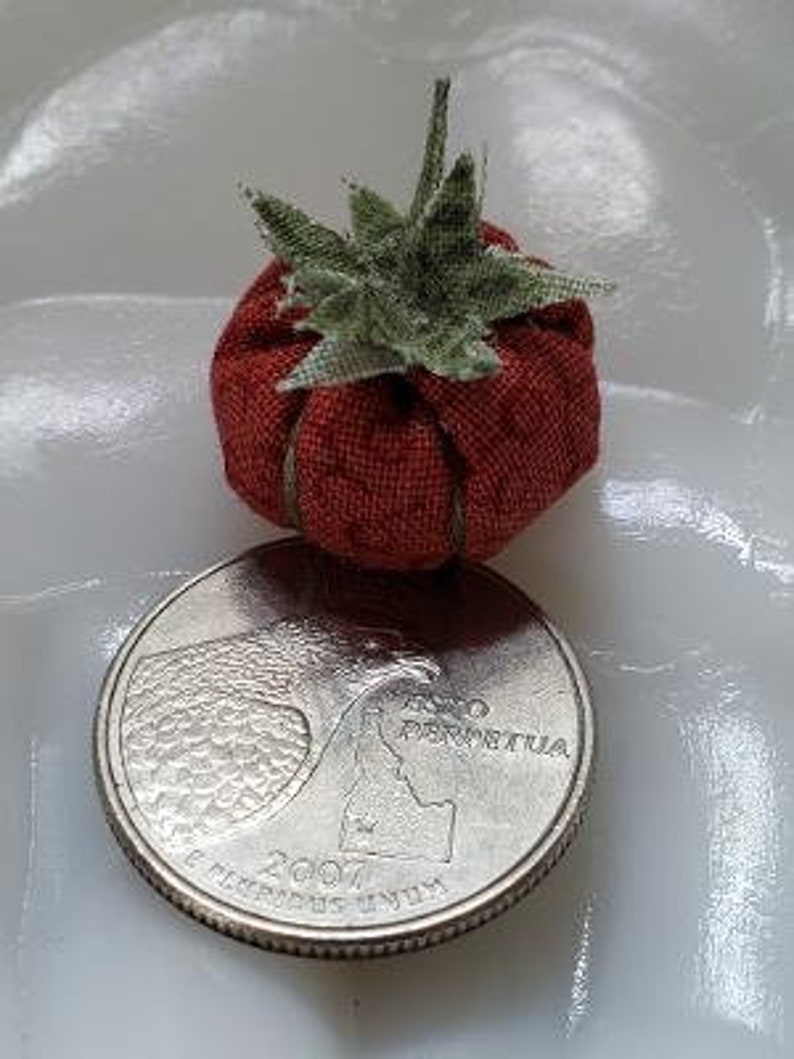 May include: A small red fabric tomato with green fabric leaves. The tomato is sitting on top of a US quarter coin with the year 2007 and the words "E Pluribus Unum" and "In God We Trust" visible.