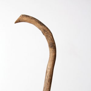 May include: A brown wooden walking stick with a curved handle.