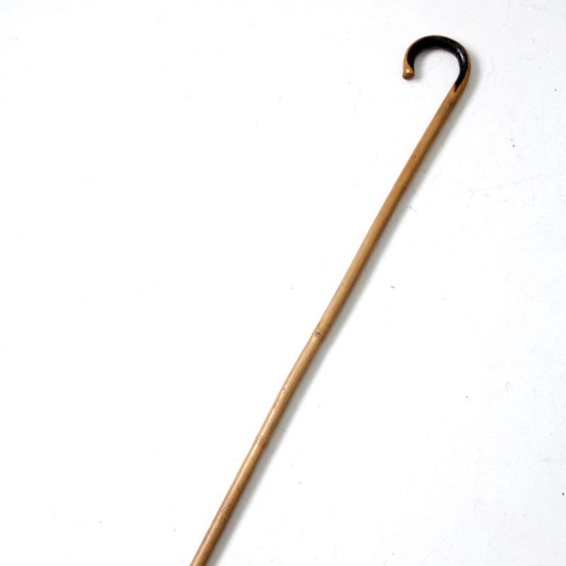 Bamboo Walking Stick Etsy