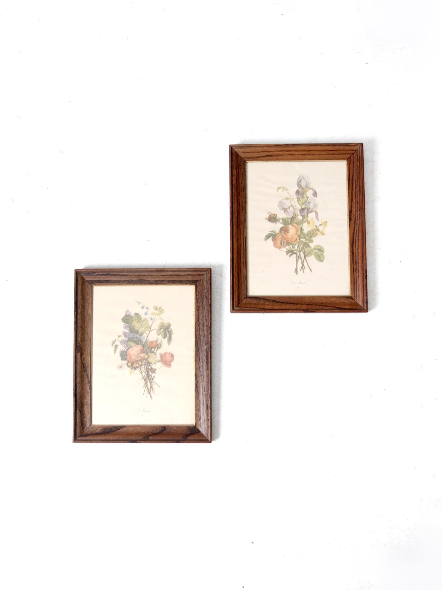 Vintage Framed Botanical Prints by J.L. Prevost, Set