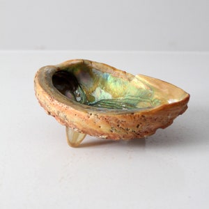 May include: Abalone shell dish with iridescent interior, resting on a single, clear, amber-colored foot. The shell's exterior is a textured, tan color. The interior displays shades of green, blue, and gold.