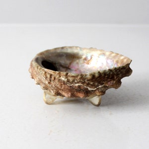 May include: A small, iridescent abalone shell with a natural brown exterior. The shell is resting on three small, clear feet.