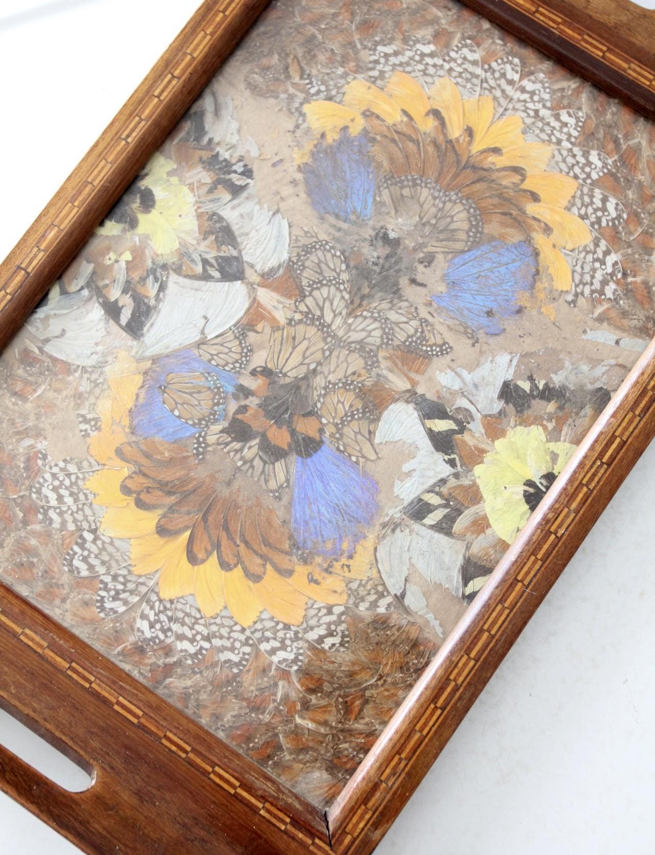 Plateau En Bois Avec Incrustation Ailes De Papillon - Zitrin, Brésil, Vers 1940