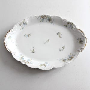 antique Haviland Limoges floral platter