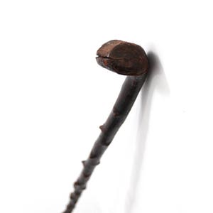 May include: A dark brown wooden walking stick with a curved handle. The stick has a series of small protrusions along its length and a rounded head. The wood appears to be aged and textured, suggesting a rustic or antique aesthetic.