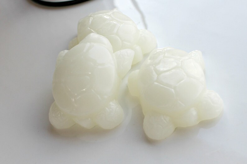 Custom Scented Woodland Novelty Whimsical Beeswax Tarts Turtles Beeswax Melts Turtle BEESWAX MELTS