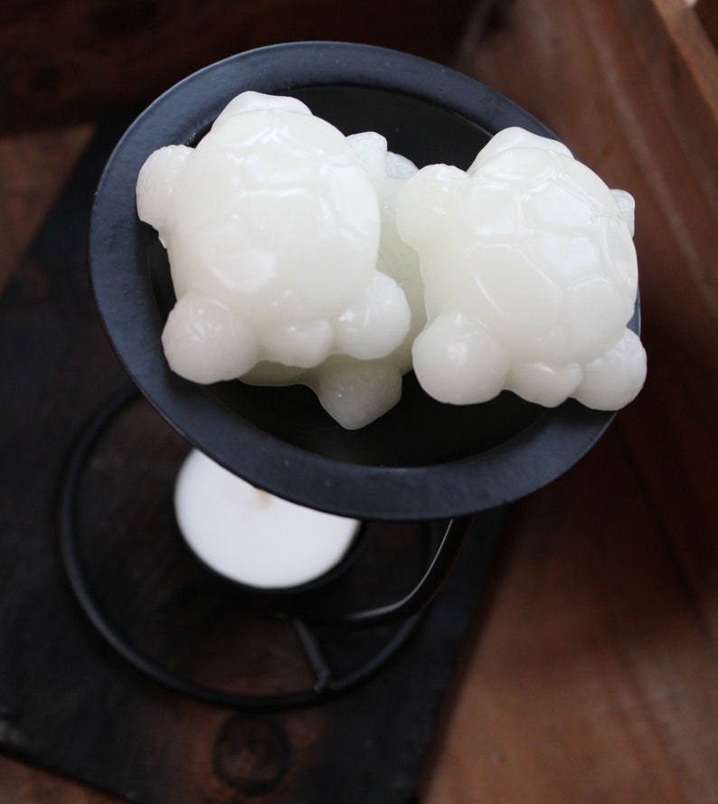Custom Scented Woodland Novelty Whimsical Beeswax Tarts Turtles Beeswax Melts Turtle BEESWAX MELTS