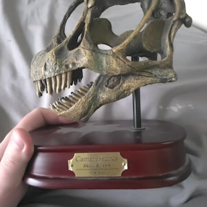 Dinosaur Skull Replica &quot;Camarasaurus&quot; – 1/4 Scale Fossil Model by DinoStoreus – Prehistoric Decor or Gift