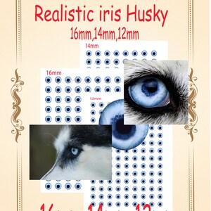 以下が含まれることがあります： 「Realistic iris Husky」の文字と16mm、14mm、12mmのサイズが記載されたベージュ色のグラフィック。ハスキーの青い目のクローズアップと、青い目のデザインのグリッドが含まれています。