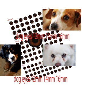 Puede incluir: Imagen con ojos de perro marrones en tamaños de 12 mm, 14 mm y 16 mm, junto con fotos de perros. El texto "dog eyes 12mm 14mm 16mm" está escrito en rojo.