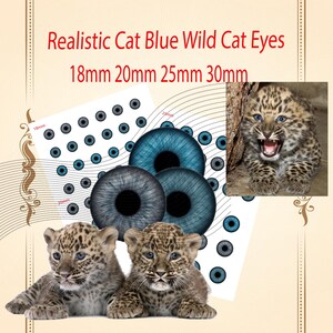 Puede incluir: Imagen que presenta ojos de gato azules realistas en varios tamaños, junto con imágenes de cachorros de leopardo. El texto dice "Realistic Cat Blue Wild Cat Eyes" y enumera los tamaños 18 mm, 20 mm, 25 mm y 30 mm.