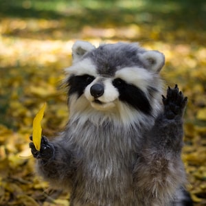 シュタイフ☆Raccy Racoon 17cm&10cm☆アライグマ 2体セット Dakin