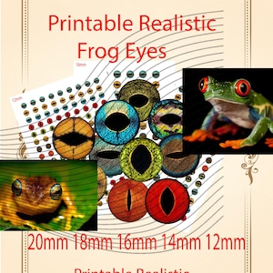 May include: A digital sheet of printable realistic frog eyes in various colors and patterns, including blue, green, red, and yellow. The text reads Printable Realistic Frog Eyes and lists sizes 20mm, 18mm, 16mm, 14mm, and 12mm. Two photos of frogs are included.