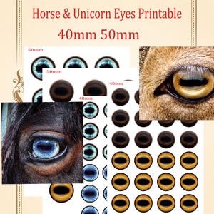 May include: Printable image featuring horse and unicorn eyes in various styles and colors. Includes close-up photos of real horse eyes and printed eye designs in 40mm and 50mm sizes. Text reads "Horse & Unicorn Eyes Printable".