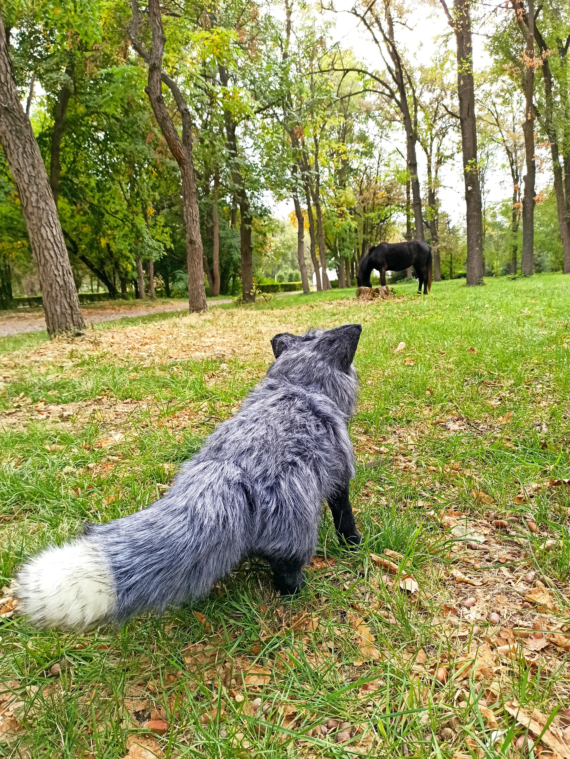Made to Order Realistic Black Fox Plush Life Size Handmade Fox Art