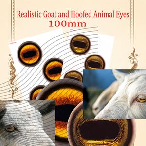 May include: The image showcases realistic goat and hoofed animal eyes, measuring 100mm. The eyes are predominantly yellow and black. A close-up of a goat's eye is also included in the image.