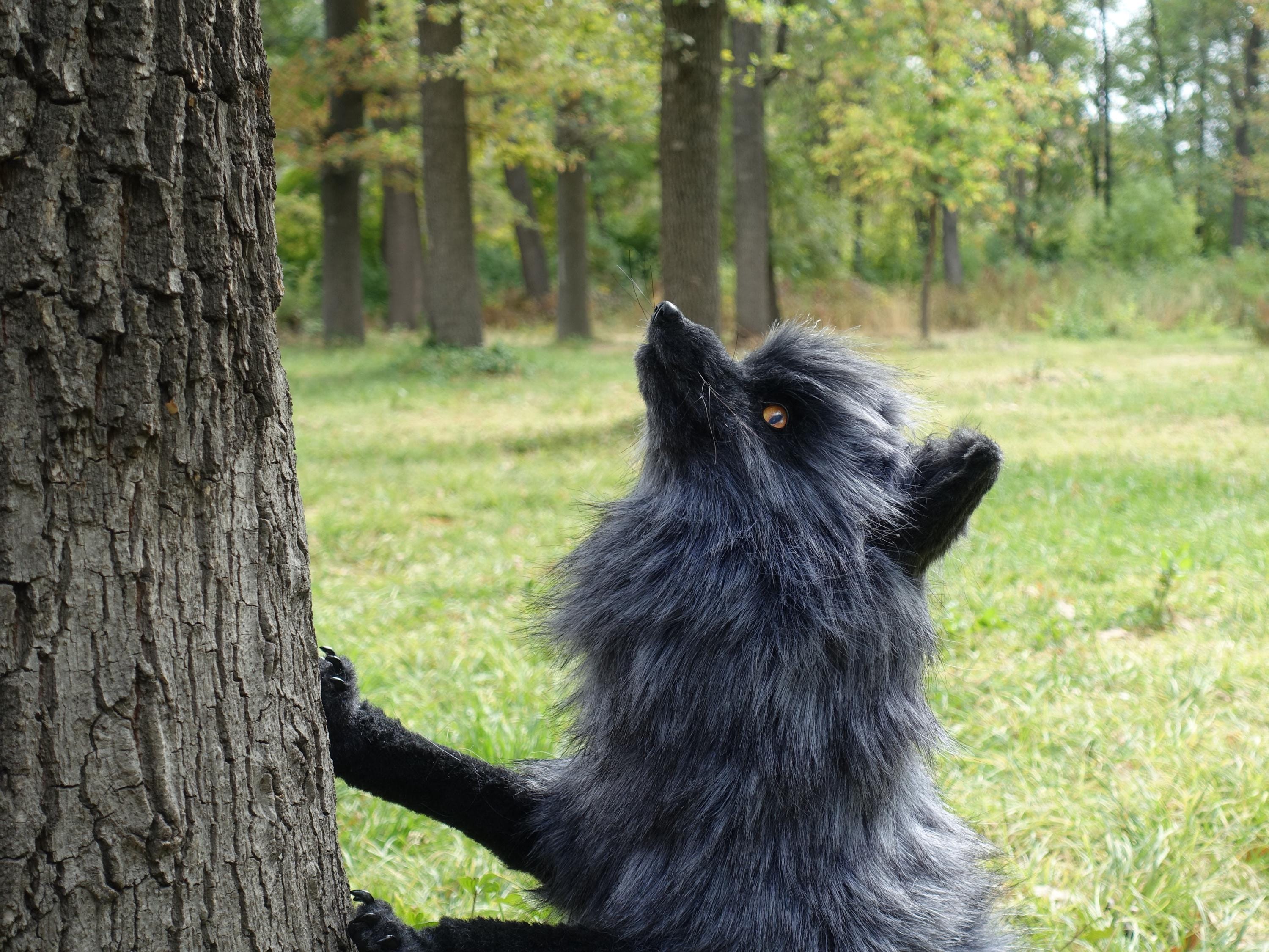 Made to Order Realistic Black Fox Plush Life Size Handmade Fox Art
