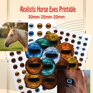 May include: Printable realistic horse eyes in various colors and sizes. The image includes close-ups of horse eyes, along with sets of eye designs in 30mm, 25mm, and 20mm sizes. The text reads "Realistic Horse Eyes Printable".