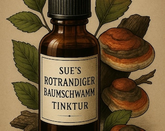 Rotrandiger Baumschwamm Tinktur – Kraft der Übergänge