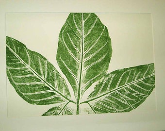 Botanical print, tropical leaf portrait, hand-pulled original, direct relief print, 18" x 24" Ready to ship, gift for plant lover