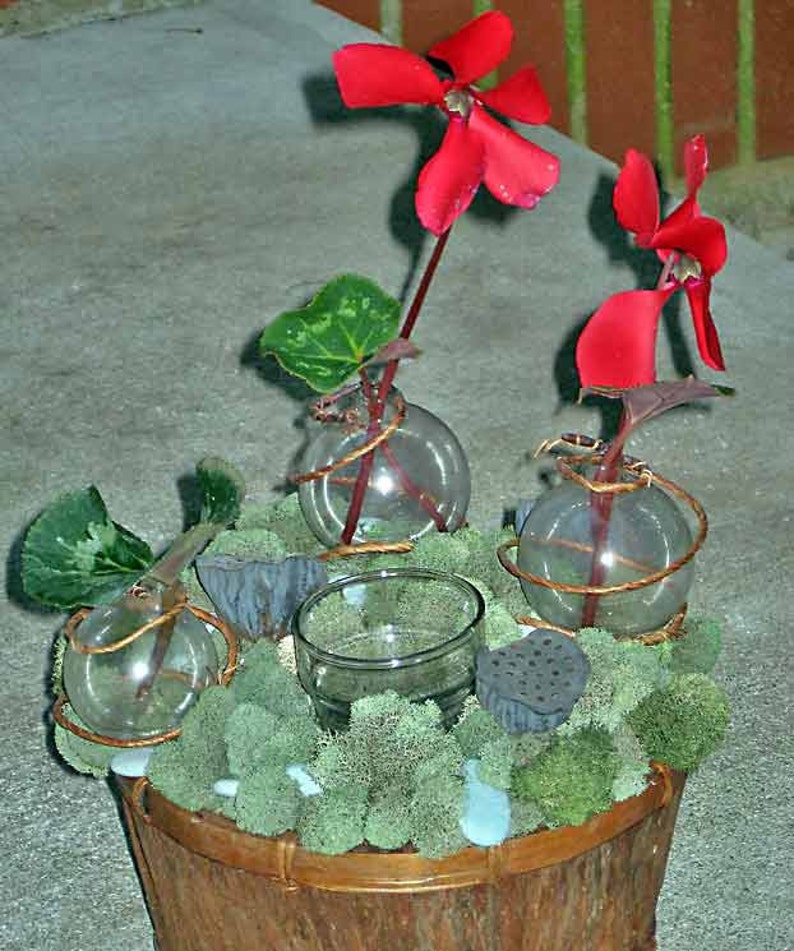 Topiary centerpiece, Zen garden w/ moss, lotus pods, tea lights, fresh flower bubble vases instant centerpiece for any occasion image 4